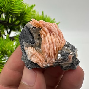 Wonderful Baryte with Cerussite on Galena from Morocco,Crystal, Mineral,Specimen,Cluster,Crystals,Barite Crystal,Cerussite Crystal,Specimen