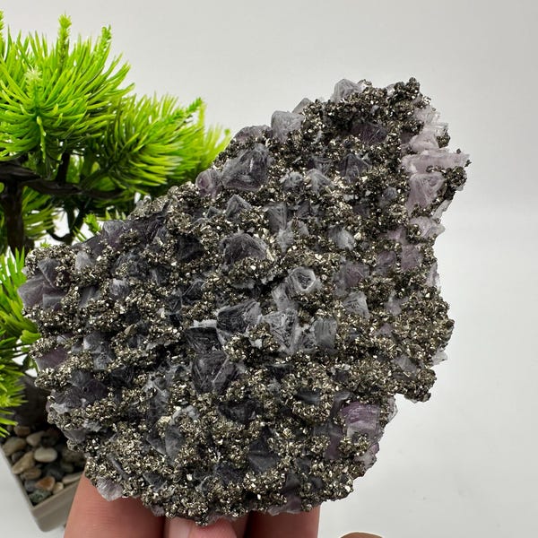 Amethyst Crystal with Pyrite: Deep Purple Mineral Specimen, Bulgaria