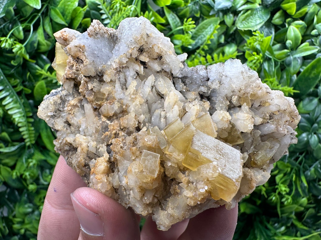 Yellow Dol Rare Yellow Barite on Quartz, Dimov Dol, Bulgaria - Etsy