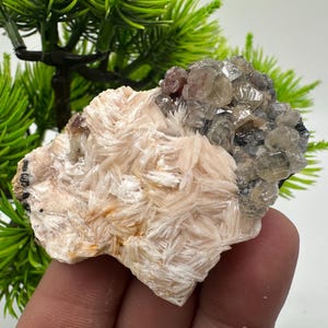 Wunderbarer Baryt mit Cerussit auf Galena aus Marokko, Bleikristall, Bleikristall,Cerussit Kristall,Kristalle, Bleikristall,