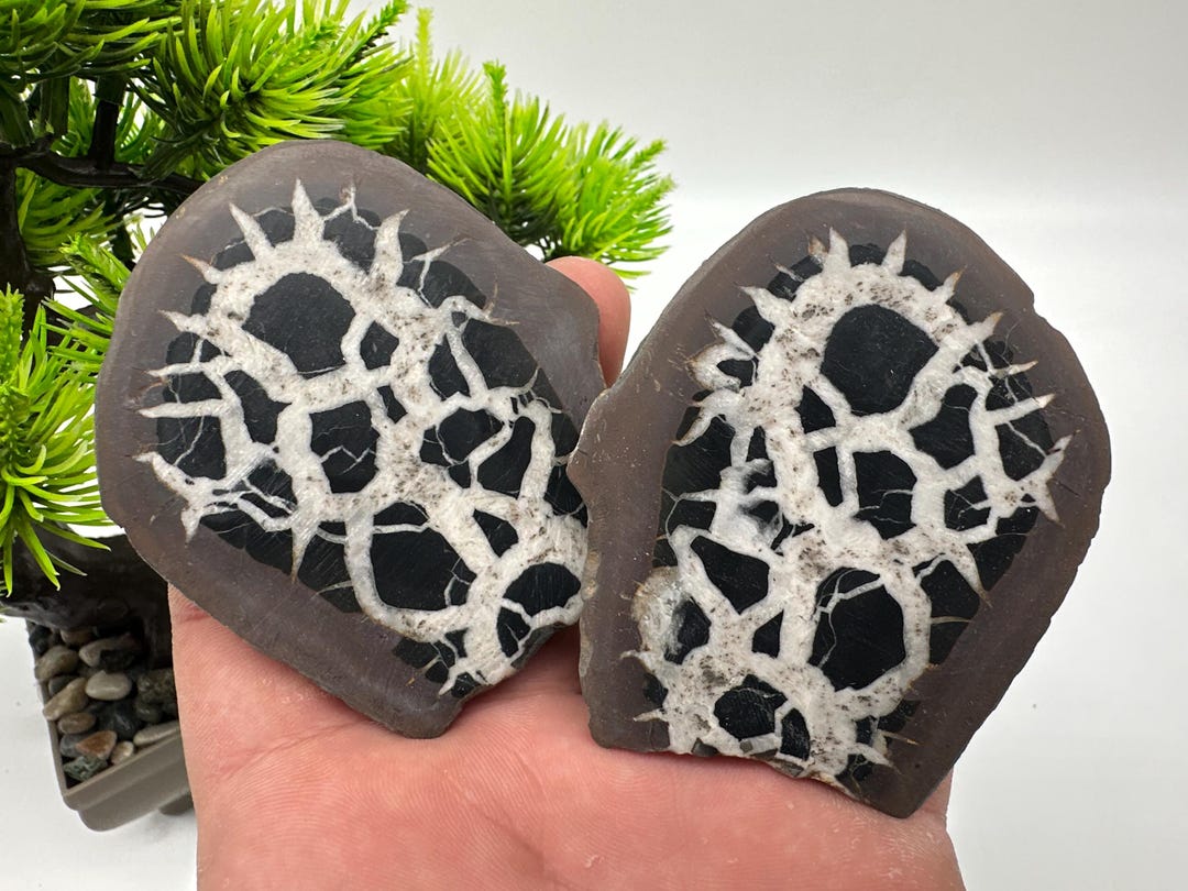 Dragonstones Pair, Septarian Nodule Geode, Septaria, Dragonstone ...