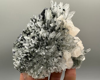 May include: A cluster of clear quartz crystals with black inclusions, set on a matrix of gray and white minerals. The crystals are arranged in a variety of shapes and sizes, creating a visually interesting and unique specimen.