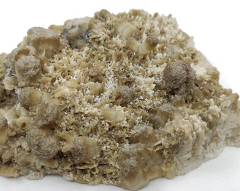 May include: A cluster of tan and brown calcite crystals with a rough, textured surface. The crystals are clustered together in a random, organic shape.