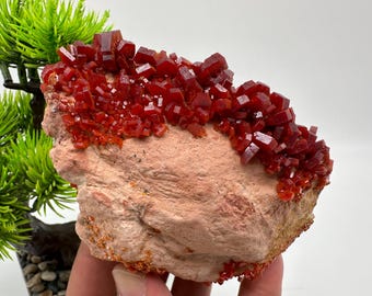 Rode vanadiniet op matrix uit Marokko, kristal, mineraal, monster, cluster, vanadinietkristal, vanadiniet, geologie, vanadinietcluster, rode kris