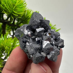 Stunning Galena Spinel Law on Sphalerite,From Borieva mine,Madan,Bulgaria,collection mineral specimen,rare crystal,Galena,Spinel law Galena