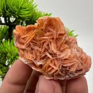 Wonderful Baryte with Cerussite on Galena from Morocco,Crystal, Mineral,Specimen,Cluster,Crystals,Barite Crystal,Cerussite Crystal,Specimen