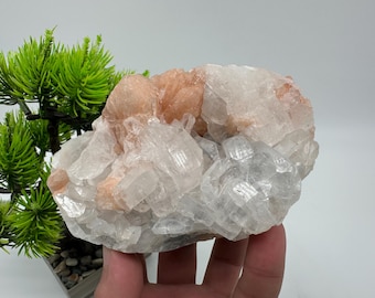 Op de afbeelding: Een cluster van witte en oranje selenietkristallen. De kristallen zijn in een cluster gerangschikt, met de oranje kristallen in het midden en de witte kristallen eromheen.