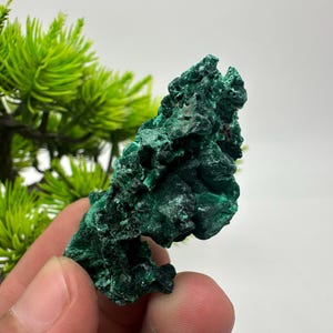 Malachite FIBROS Crystal from Congo,Mineral,Crystal from Congo,Green Malachite, Malachite,Natural Malachite,Malachite Stone,Chakra, Specimen