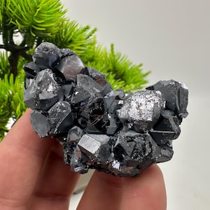 Stunning Galena Spinel Law on Sphalerite,From Borieva mine,Madan,Bulgaria,collection mineral specimen,rare crystal,Galena,Spinel law Galena