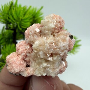 Rhodochrosiet met stilbiet en kwarts, mineraal exemplaar van Davidcovo, Bulgarije