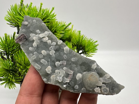 Incredible,rare Green Chalcedony,natural, Collection Minerals