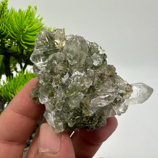 Rainbow Epidote with Quartz, Hakkari Turkey Mineral Specimen