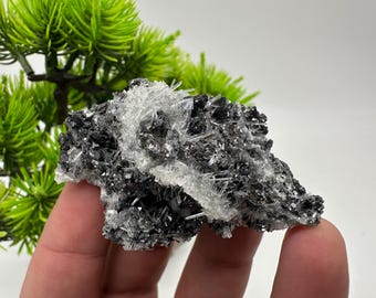 Sphalerite, Pyrite on Quartz Needles, Borieva Mine Mineral Specimen