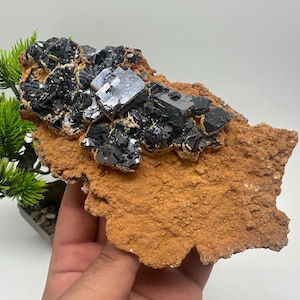 Stunning ,Mirror Galena cubes whit Sphalerite,on Siderite From Krushev dol mine,Madan,Bulgaria,Galena,Sphalerite,Mineral specimen,collection