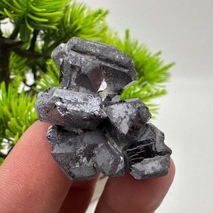 Stunning Galena Spinel Law on Sphalerite,From Borieva mine,Madan,Bulgaria,collection mineral specimen,rare crystal,Galena,Spinel law Galena