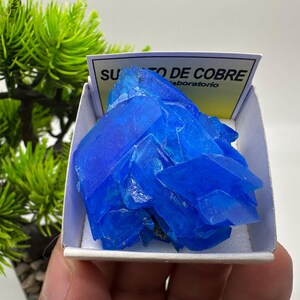 May include: A vibrant blue crystal cluster, displayed in a small white box. The crystal has a layered, geometric structure and is a deep, saturated blue. The box has text that reads "SU...TO DE COBRE" and "laboratorio". A small green plant is in the background.