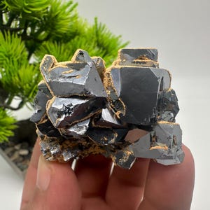 Collecting,Mirror Galena cubes whit Sphalerite,From Krushev dol mine,Madan,Bulgaria,Galena,Sphalerite,Mineral specimen,collection crystal