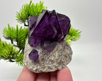 吸い込まれるような深青色の結晶 ミョウバン 102g 68mm 鉱物標本 クロムミョウバン結晶宝石標本 - Etsy 日本