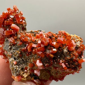 Vanadinita roja en matriz de Marruecos,Cristal, Mineral,Espécimen,Clúster,Cristal de vanadinita, Vanadinita,Geología,Clúster de vanadinita,Cr rojo