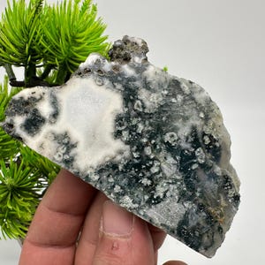 Polished Moss Agate Slab: Green Agate Crystal Slice (8.5/5.5/1.5cm)