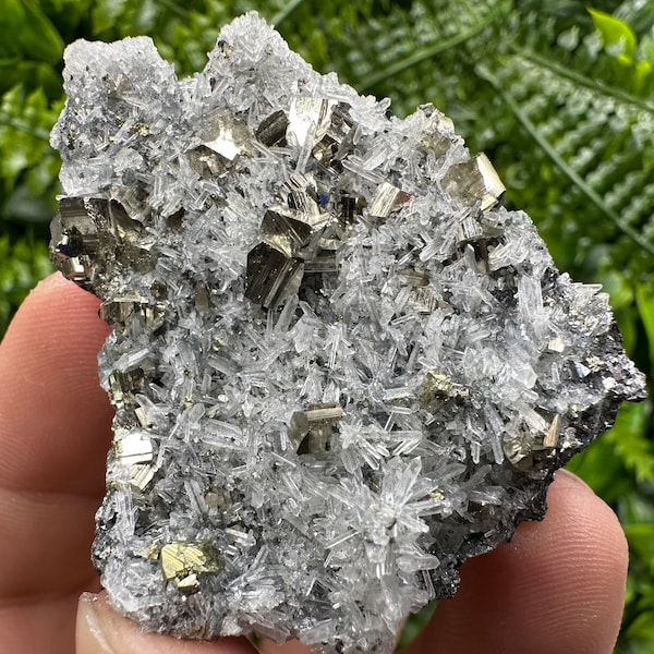 Pyrite on Quartz Cluster - Bulgaria Mineral Specimen, Home Decor