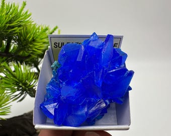 ブルーカルカンサイト鉱物 - ラボ育成展示用鉱物 / 標本 / 結晶 - Etsy