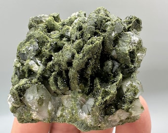 May include: A cluster of clear quartz crystals with green chlorite inclusions. The crystals are clustered together in a rough, natural formation.