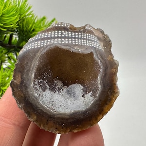 以下が含まれることがあります： 小さな白い結晶で覆われた空洞の中心部を持つ茶色いメノウのジオード。石の外縁部には、上部に3つの水平な列で配置された白いドットの装飾的なパターンが施されています。
