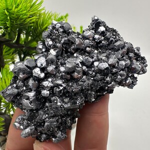 Wonderful Shiny Galena on Sphalerite,from Borieva mine,Bulgaria,natural,collection mineral specimen,home decor crystal,gift minerals,galena