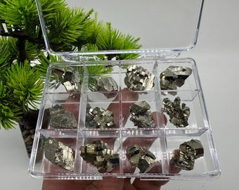 May include: A clear plastic storage box with 10 compartments filled with small, shiny, gold-colored pyrite crystals.