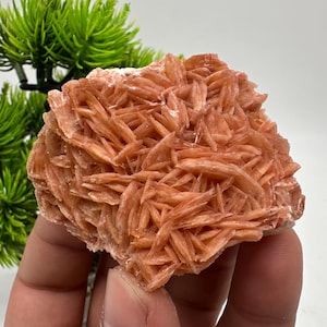 Wunderbarer Baryt mit Cerussit auf Galena aus Marokko, Bleikristall, Bleikristall,Cerussit Kristall,Kristalle, Bleikristall,