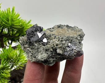 May include: A cluster of gray metallic crystals on a gray rock matrix. The crystals are sharp and have a metallic sheen.