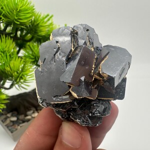 Collecting,Mirror Galena cubes whit Sphalerite,From Krushev dol mine,Madan,Bulgaria,Galena,Sphalerite,Mineral specimen,collection crystal