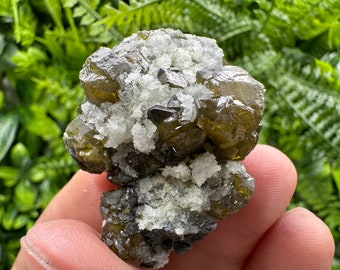 May include: Close-up of a cluster of olive-green and gray crystals with white accents. The crystals have a geometric shape and are clustered together. The background is blurred green foliage.