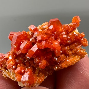 Red Vanadinite on Matrix from Morocco,Crystal, Mineral,Specimen,Cluster,Vanadinite Crystal, Vanadinite ,Geology,Vanadinite Clust