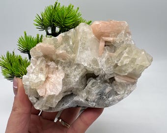 Op de afbeelding: Een ruwe, natuurlijke kristalgroep met een mix van lichtroze en doorschijnende witte kristallen. De kristalformatie heeft een ruw, getextureerd oppervlak met donkergrijze delen. Groen gebladerte is bij het kristal geplaatst.
