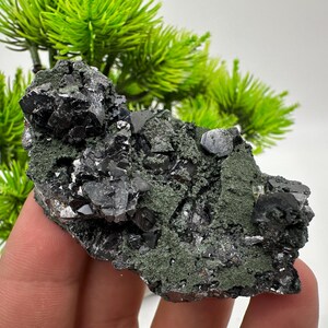 Stunning Sphalerite whit Chlorite from Borieva mine,Bulgaria,natural,collection mineral specimen,rare crystal,home decor stone,gift minerals