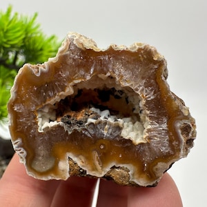以下が含まれることがあります： 小さな結晶構造で裏打ちされた空洞の中心部を持つ、茶色と白のメノウの晶洞石。この石は、琥珀色と黄褐色の同心円状の縞模様を示し、粗く質感のある外縁と、深く空洞になった内部を備えています。