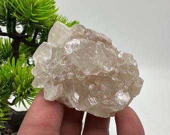 Op de afbeelding: Een cluster van doorschijnende, lichtbruine en witte kristallen. De kristallen zijn in een ruwe, natuurlijke formatie geclusterd.
