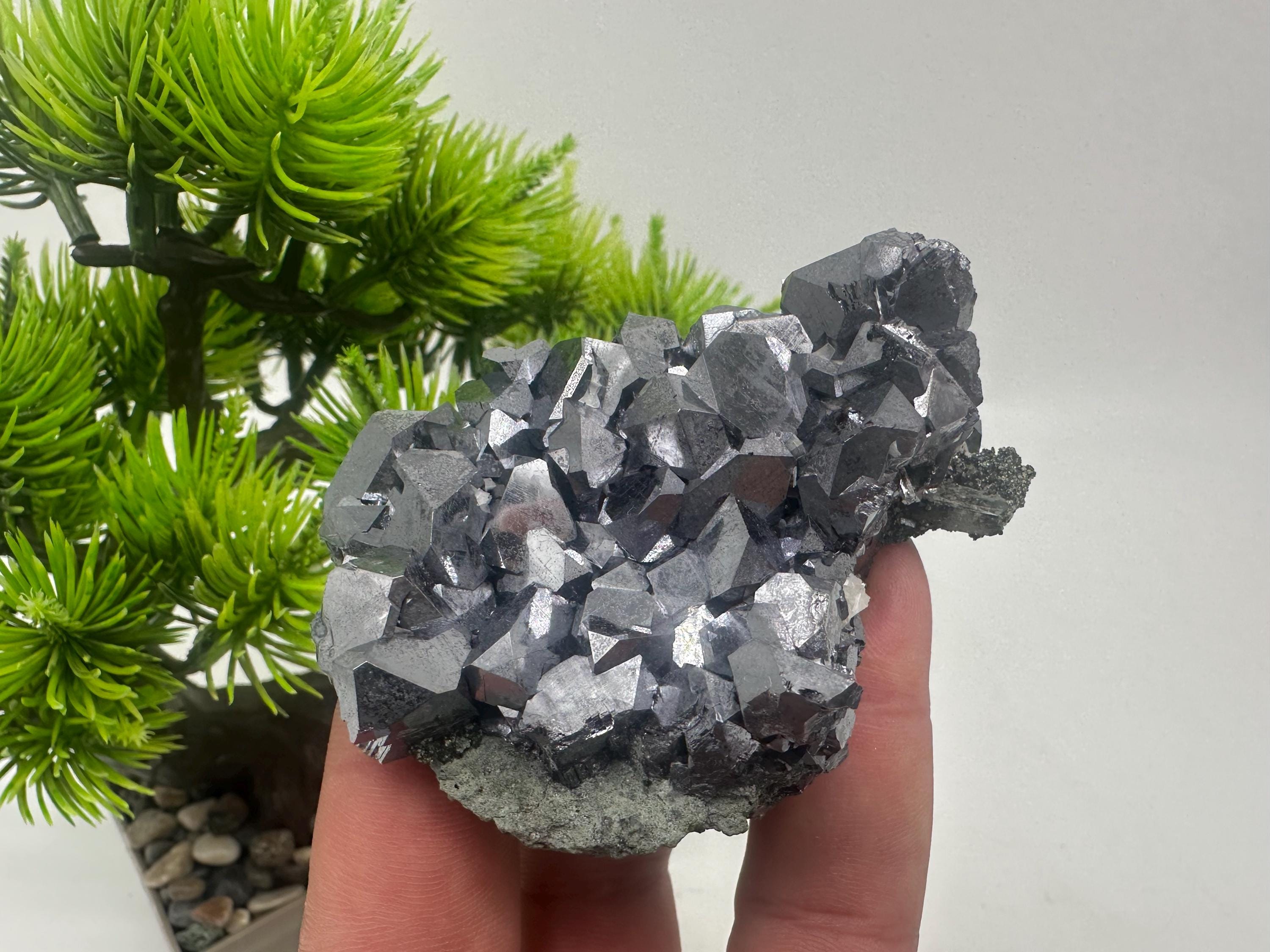 Wonderful Mirror Skeletal Galena on Chlorite,from Borieva mine natural,collection mineral specimen rare crystal,home decor stone,giftmineral
