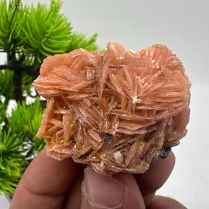 Wunderbarer Baryt mit Cerussit auf Galena aus Marokko, Bleikristall, Bleikristall,Cerussit Kristall,Kristalle, Bleikristall,