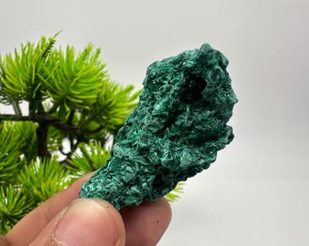 緑色の孔雀石結晶：コンゴ産鉱物標本、33グラム - Etsy 日本