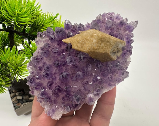 Featured listing image: Wonderful rare Amethyst Phantoms whit Chlorite inclusions From Djurcovo mine Laki Bulgaria natural minerals souvenir crystal gift collection
