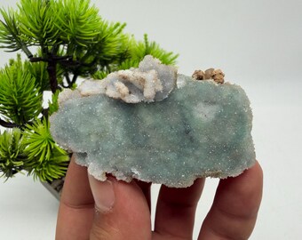 May include: A raw mineral specimen featuring a textured, light blue-green crystalline surface with clusters of white, frosted formations along the top edge. The stone has a rough, sparkling appearance with small, light brown mineral deposits on the upper right.