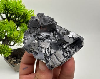 May include: A dark gray mineral specimen with a crystalline structure. The surface reflects light, creating a metallic sheen. The rock is held in a hand, with a small green plant in the background.