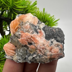 Wunderbarer Baryt mit Cerussit auf Galena aus Marokko, Bleikristall, Bleikristall,Cerussit Kristall,Kristalle, Bleikristall,