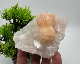 Op de afbeelding: Een cluster van witte calcietkristallen met een groot, oranje-roze selenietkristal in het midden.
