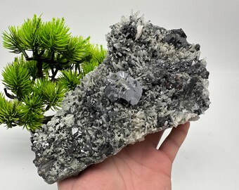 May include: A large, gray and white crystal cluster with a prominent, dark gray, cubic crystal in the center. The cluster is surrounded by smaller, white crystals.