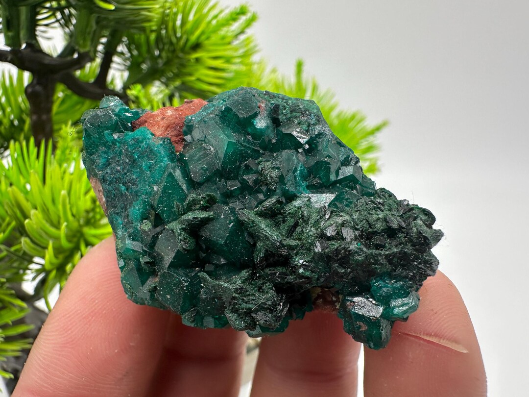 Green Dioptase Crystal, Sanda Hills Congo Mineral Specimen (47 Grams ...