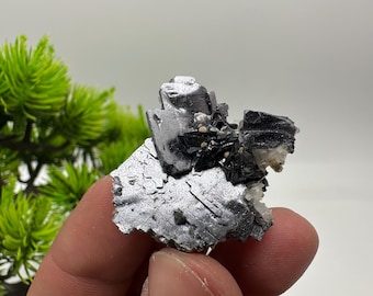方鉛鉱、黄銅鉱、閃亜鉛鉱、菱鉄鉱鉱物標本：ブルガリア・マダンの